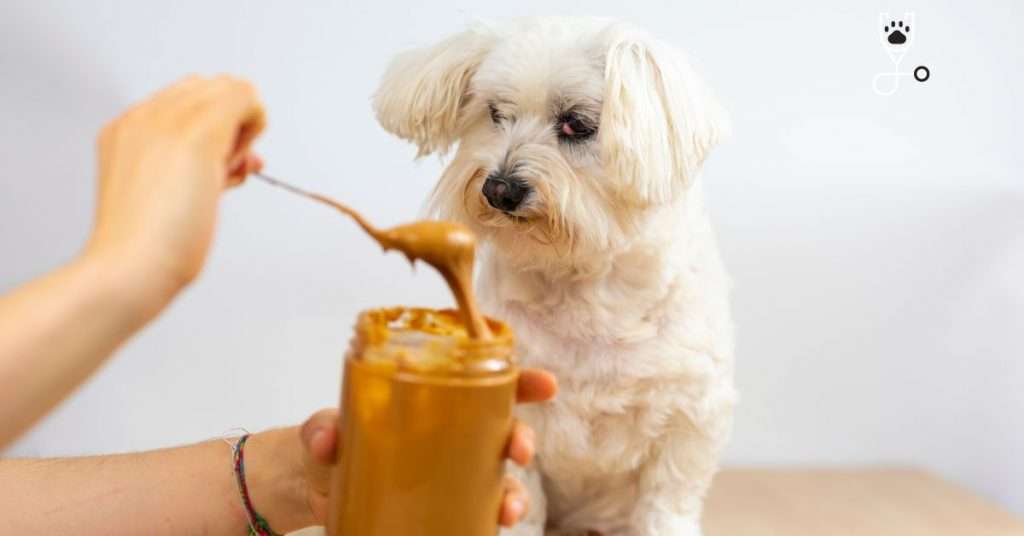 4-Ingredient Peanut Butter Dog Treats