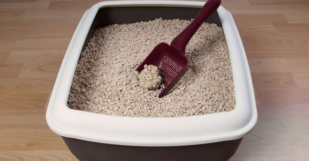 Build a DIY Top-Entry Cat Litter Box for Cheap
