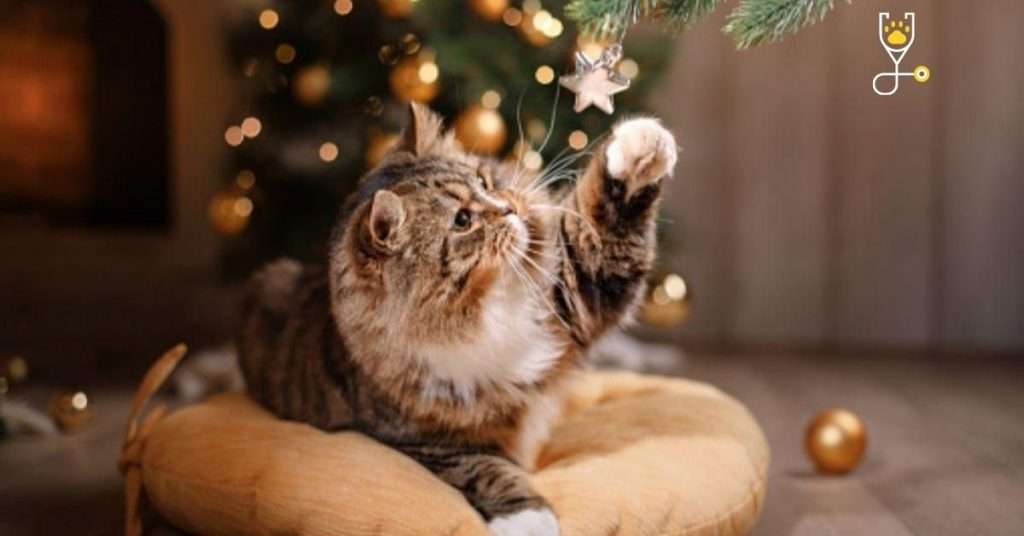 How to Keep Your Cat out of the Christmas Tree