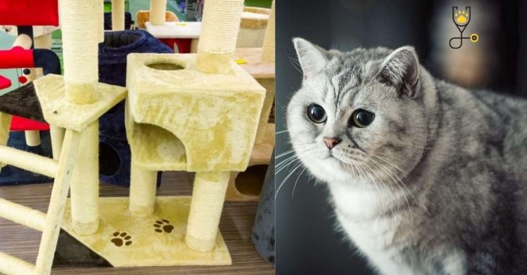 How to Make Homemade Cat Trees and Cat HousesHow to Make Homemade Cat Trees and Cat Houses