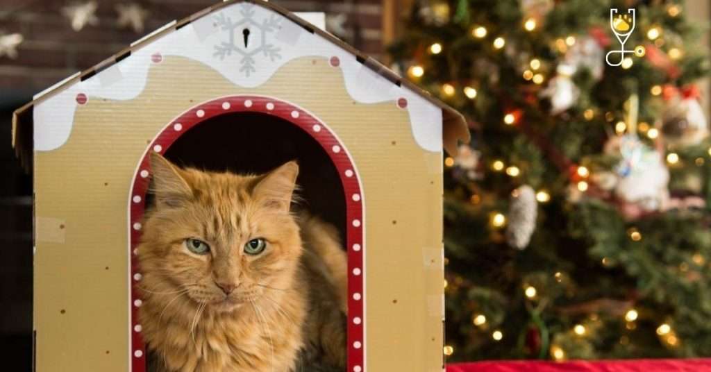 How to Make Homemade Cat Trees and Cat Houses
