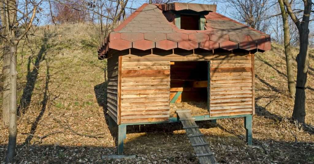 How to Prepare Your Chicken Coop for Bad Weather