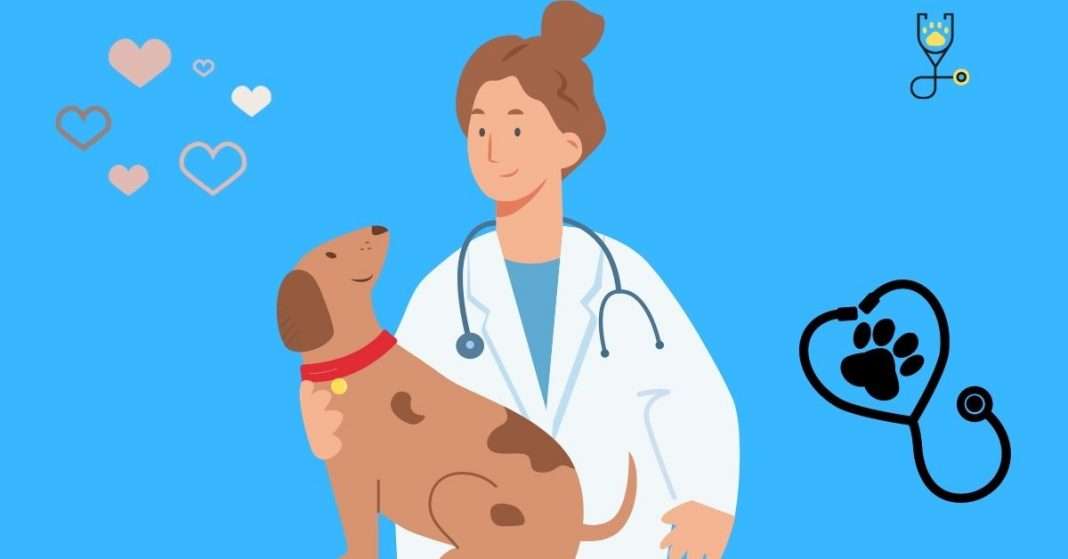 liver-problems-in-dogs-complete-guide-veterinary-articles